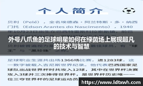 外号八爪鱼的足球明星如何在绿茵场上展现超凡的技术与智慧