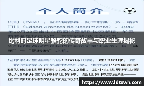 比利时足球明星骆驼的传奇故事与职业生涯揭秘